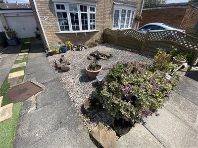 Picture 12